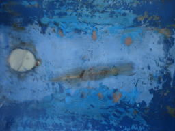 �����C�J1�n�C�����ł����B