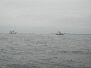 ���T�ɂ܂邭�C�T�_�̉e���f���Ă���A���̎����15�ǂقǊ񂹍����ăC�T�_��߂��Ă��܂����B�����Œނ�������������̂ł����ז����Ǝv���A�ʐ^�����B���Ă����܂����B