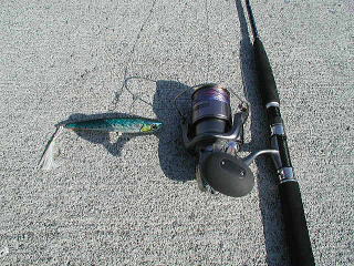 �^�b�N���̓_�C��SALTIGA HIRAMASA54S�ƃc�C���p���[8000�ƃ}���A�E�I�t�B�X�̃X�E�B���O�E�E�F�[�u�ł��B