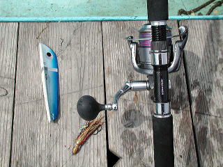 ����A�I�[�N�V�����Ŏ�ɓ��ꂽ�f���G���̖ڋʃo�P�ł��B