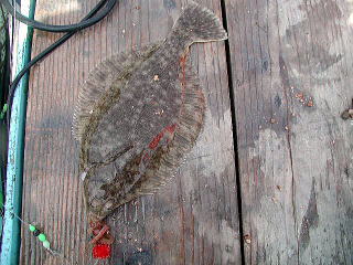 4��29���A8�C�ڂ��J���C�ł����B