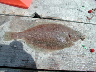 9�C�ڂ́A�q�K���C�ł����B���̂��ƁA2�C�ǉ�������c�O�Ȃ���J�����̃o�b�e���[�؂�ł����B